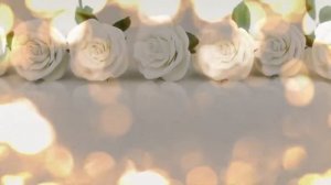 Футаж Белые розы в золотом