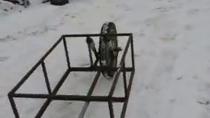 Одноколесный прицеп на мотоцикл ИЖ.