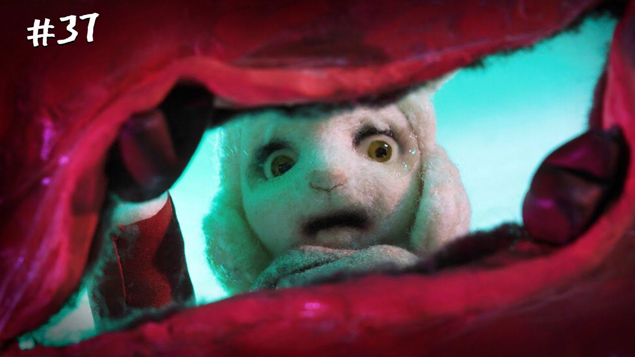 Любителям Животных АНИМАЦИЯ не рекомендуется жм 37