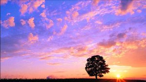 David Garrett - O Sole Mio - (HD scenic)