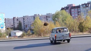 Трабант в Младост