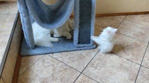 замечательная девочка