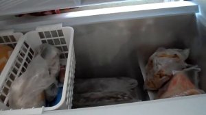 Морозильный ларь Pozis FH 250 1