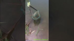 Рыбачим на пруду в подмосковье