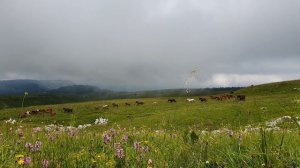 Красивая природа России