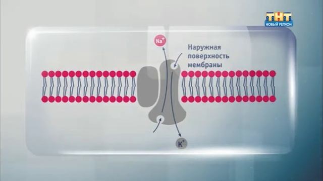 Соль и сахар смотреть онлайн