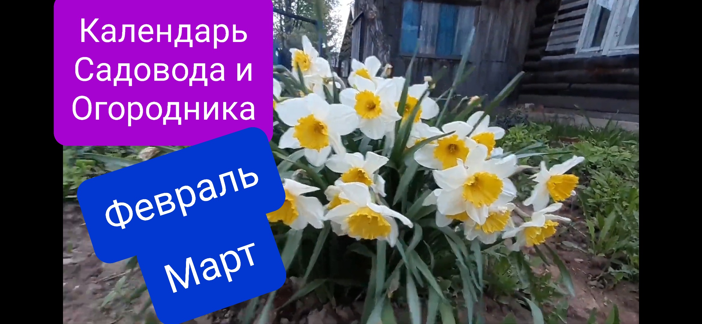 Посевной календарь на Февраль-Март 2023 г. Приволжский округ, Урал и Западная Сибирь.