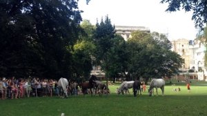 Вена за 3 дня: что посмотреть?Основные достопримечательности и короткое путешествие в горы