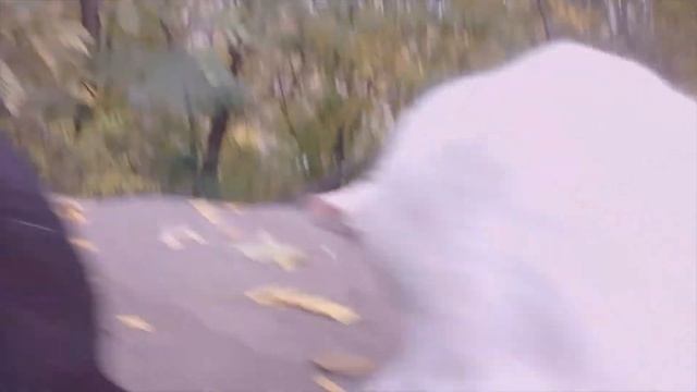 Кішки ? коти Одеси смотреть онлайн