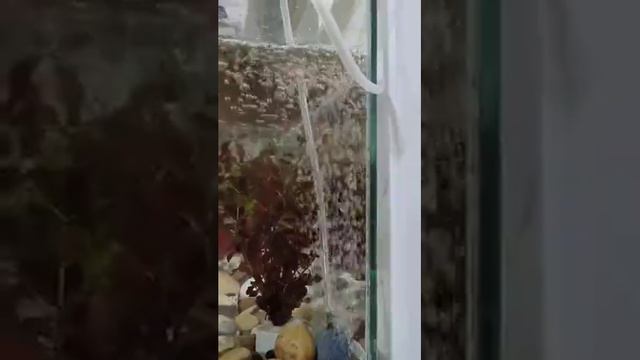 Хороший был аттракцион 👀