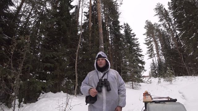 Два дня в тайге на мотособаке толкач Ураган, нашел много тетерева смотреть онлайн