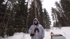 Два дня в тайге на мотособаке толкач Ураган, нашел много тетерева