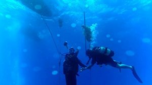 погружение на затонувшее судно Зенобия