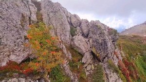 Красная Поляна. Осень. 4к