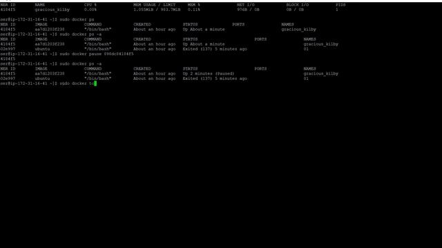 Working with Docker Container | Start | Stop | Attach | Pause | Unpause | top | stats | kill | rm смотреть онлайн
