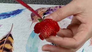 Как сделать розы из клубники. Клубничные розы.
