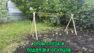 Гром гроза и подвязка огурцов