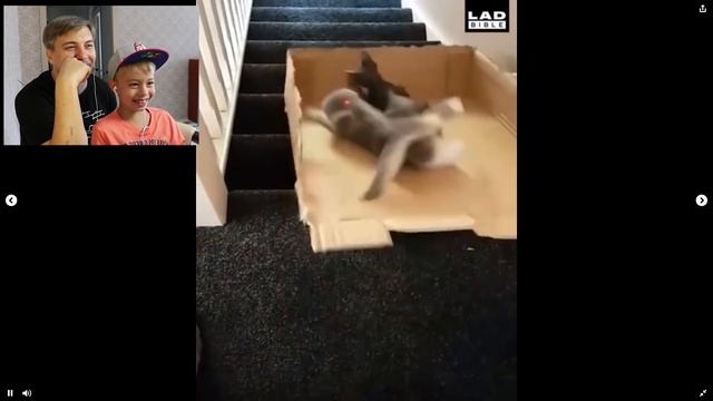 НЕЗАСМЕЙСЯ ЧЕЛЛЕНДЖ! МАМИНА ПОДБОРКА #3! Смотрим смешные видео! смотреть онлайн