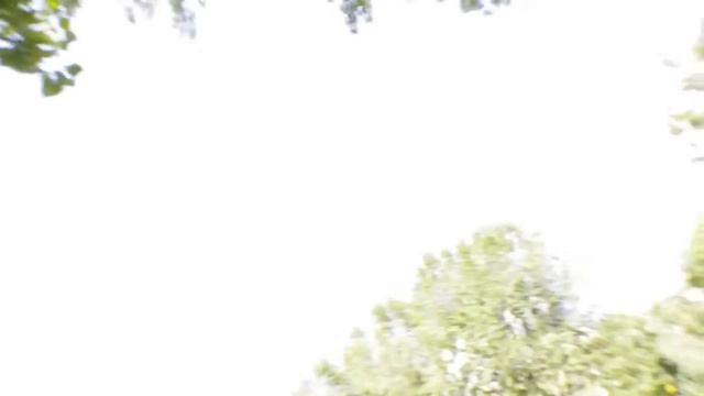 свежие приколы на свадьбе 2015,оператор упал смотреть онлайн