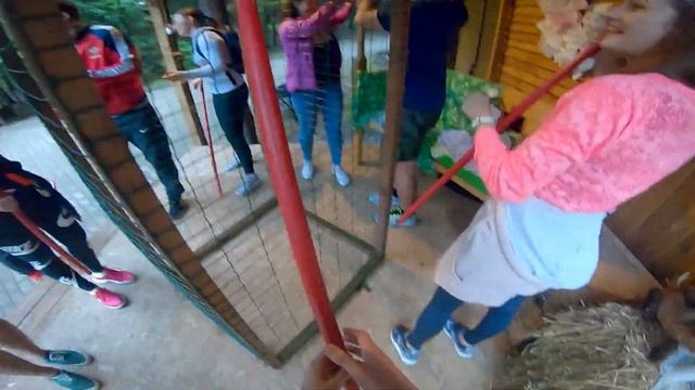 Тимбилдинг Istraholiday.Конференция на Истре смотреть онлайн