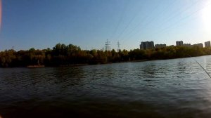 Тенкара компактная снасть, на которую ловится рыба.