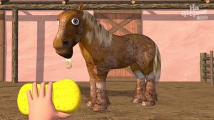 Пора купаться! Купаем животных на ферме! | На ферме у Зенона