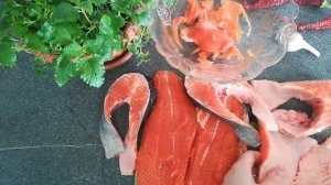 Готовим пять вариантов блюд из одной форели