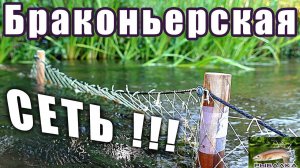 Браконьерские сети. Рыбалка в Ленинградской области. Июль 2020.