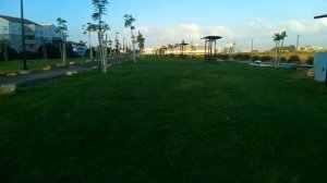 Израиль. Петах-Тиква. Ришон-ле-Цион в Петах-Тикве. Городская природа.