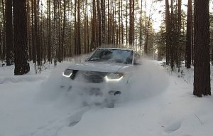 Патриот по снегу в зимнем лесу.