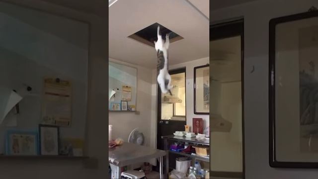 ?