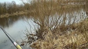 Рыбалка в Беларуси на БОКОВОЙ КИВОК весной / ловля на боковой кивок видео / летняя мормышка