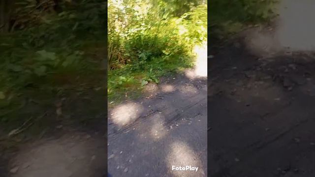 прогулка по лесу. Природа. Марат Нигматуллин - деньги нельзя есть. смотреть онлайн