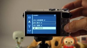 Nikon 1 J5 手動對焦放大顯示