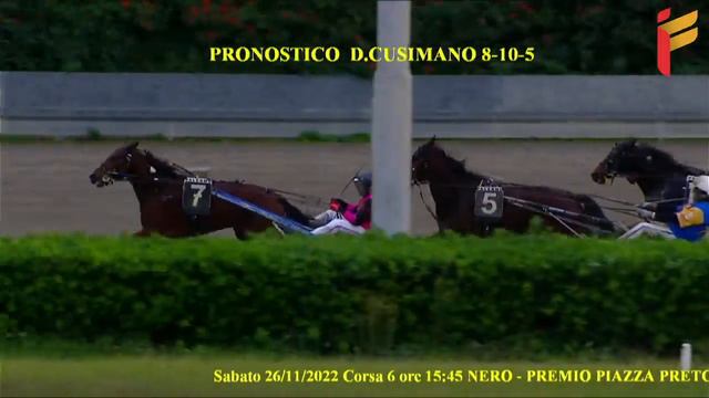 VI corsa del 26 novembre 2022 - 4 Anni - Metri 1600 - Gentlemen смотреть онлайн