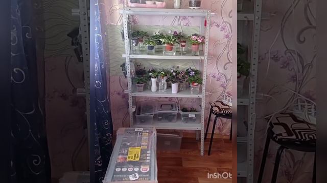 Моя новая Цветочная Комната 🧚♀️. смотреть онлайн