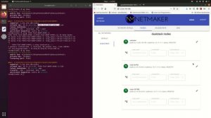 Dual Stack IPv6 and Private DNS Over WireGuard with Netmaker