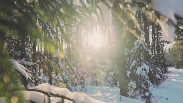 «Зимний лес». Новогодняя открытка смотреть онлайн