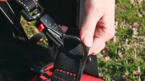 Шлейка Hercules Ferplast