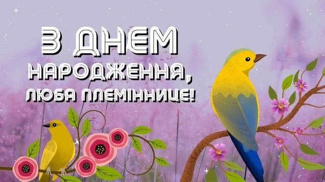 З Днем народження, племінниці!