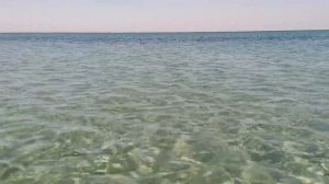 Крым\коса Беляус