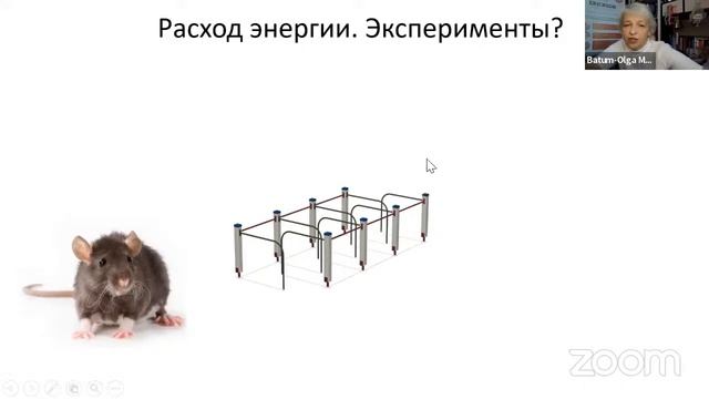 Восемь уровней психологического развития, доступных на планете Земля смотреть онлайн