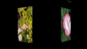 ДАЧНОЕ ТВОРЧЕСТВО!!!