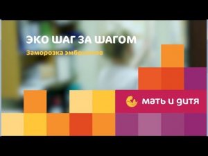 ЭКО шаг за шагом. Заморозка эмбрионов