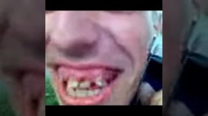 Козёл забодал ГАИшников ПРИКОЛЫ 2014