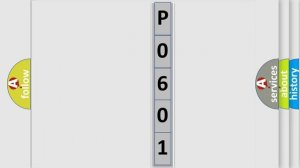 DTC Chevrolet P0601 Short Explanation