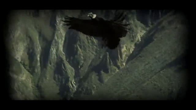 CONDOR PASA Mary Oleskiewicz смотреть онлайн