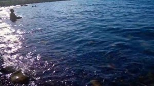 Большой Утриш, отдых с палаткой на море
