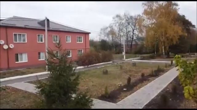 Типичное горшечное