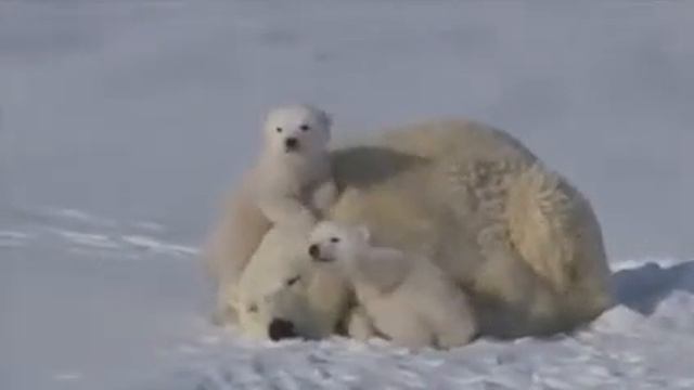 Заботливая мама!